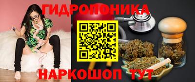 Альфа ПВП Лесосибирск