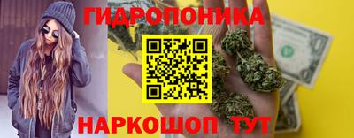 Альфа ПВП Лесосибирск
