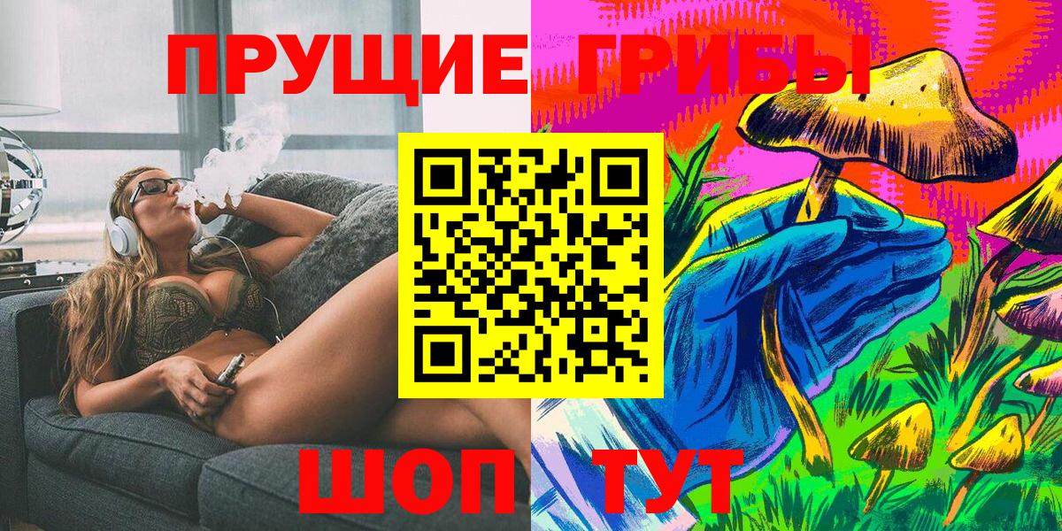 Галлюциногенные грибы Cubensis Гусев