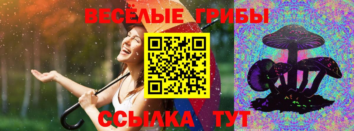 Псилоцибиновые грибы Magic Shrooms  Вход с VPN  Галлюциногенные грибы прущие грибы  Гусев 